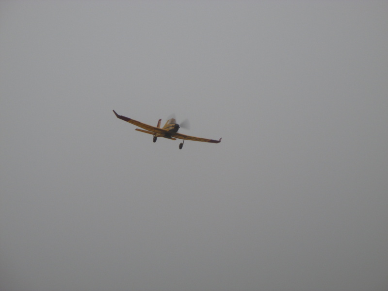 Tynec 2013 055.jpg